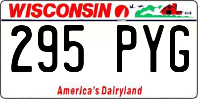 WI license plate 295PYG