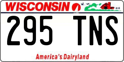 WI license plate 295TNS