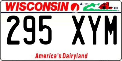 WI license plate 295XYM
