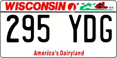 WI license plate 295YDG
