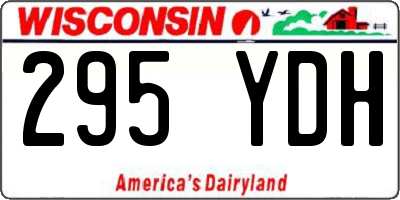 WI license plate 295YDH