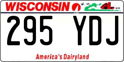 WI license plate 295YDJ