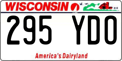 WI license plate 295YDO