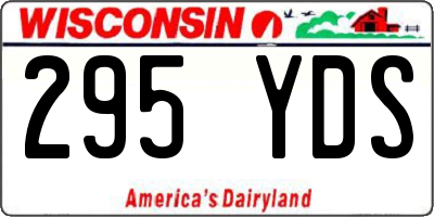 WI license plate 295YDS