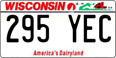 WI license plate 295YEC