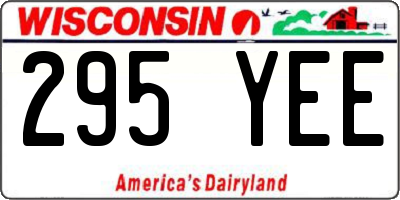 WI license plate 295YEE