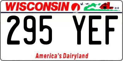 WI license plate 295YEF