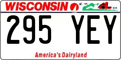 WI license plate 295YEY