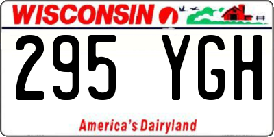 WI license plate 295YGH