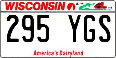 WI license plate 295YGS