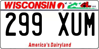 WI license plate 299XUM
