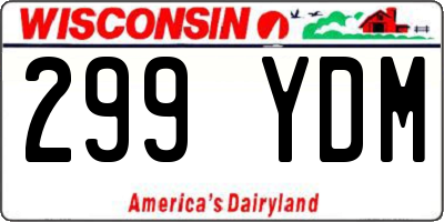 WI license plate 299YDM