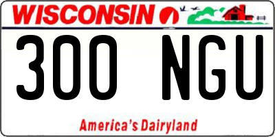 WI license plate 300NGU