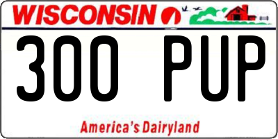 WI license plate 300PUP