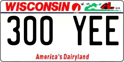 WI license plate 300YEE