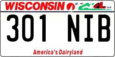 WI license plate 301NIB