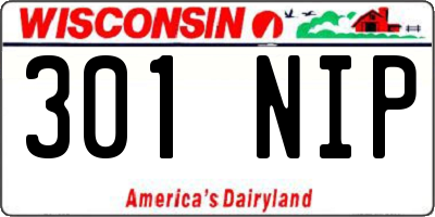 WI license plate 301NIP