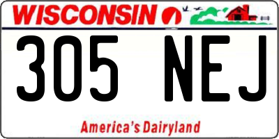 WI license plate 305NEJ