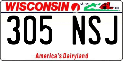 WI license plate 305NSJ