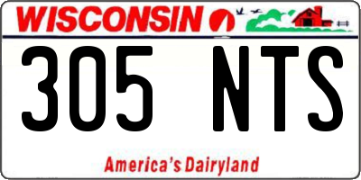 WI license plate 305NTS
