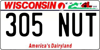 WI license plate 305NUT
