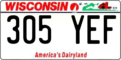 WI license plate 305YEF