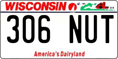 WI license plate 306NUT