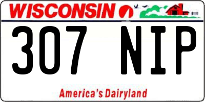 WI license plate 307NIP