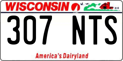WI license plate 307NTS