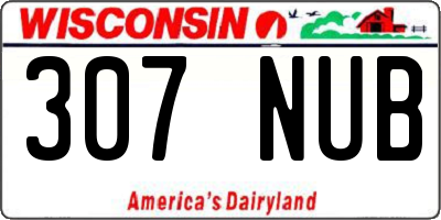 WI license plate 307NUB