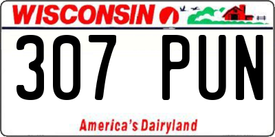 WI license plate 307PUN