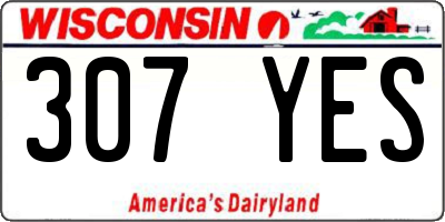 WI license plate 307YES