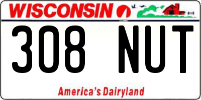 WI license plate 308NUT