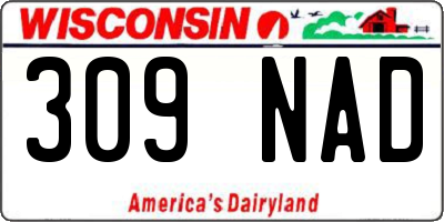 WI license plate 309NAD