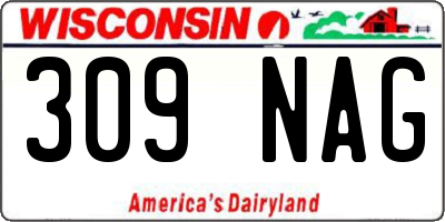 WI license plate 309NAG