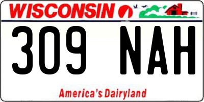 WI license plate 309NAH