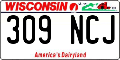 WI license plate 309NCJ
