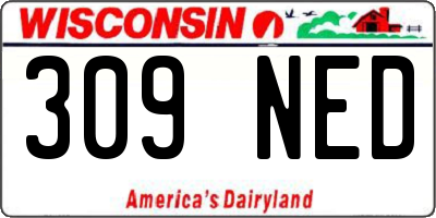 WI license plate 309NED