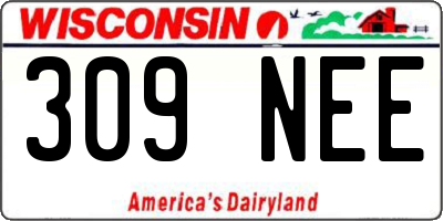WI license plate 309NEE