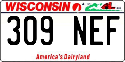 WI license plate 309NEF