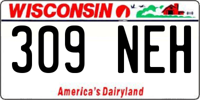 WI license plate 309NEH