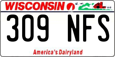 WI license plate 309NFS