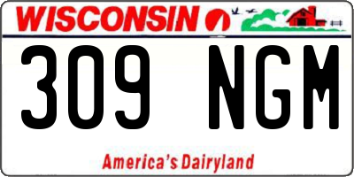 WI license plate 309NGM
