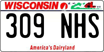 WI license plate 309NHS