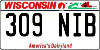 WI license plate 309NIB
