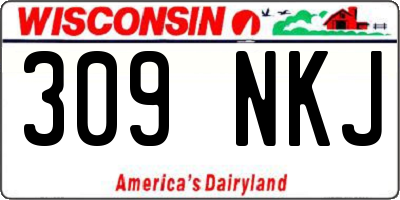 WI license plate 309NKJ