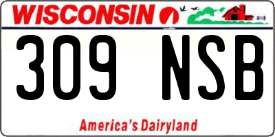 WI license plate 309NSB