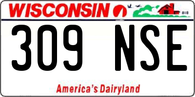 WI license plate 309NSE