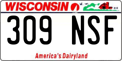 WI license plate 309NSF