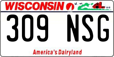 WI license plate 309NSG